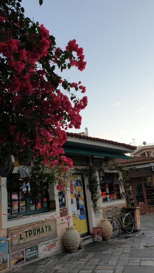 Otel Vista Marina